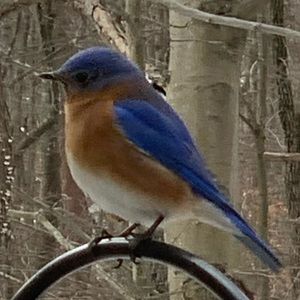 Meet your Posher, Adrienne